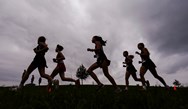 Wilson boys, Notre Dame girls triumph in cross country action (PHOTOS)
