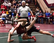 'Big four' crowd out the rest from semifinal feast at D-11 3A wrestling
