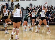 Surging Central Catholic girls volleyball sweeps Becahi to claim District 11 title