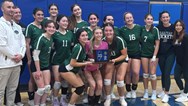 Delaware Valley girls volleyball has sectional title streak snapped in 3 sets