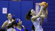 Delaware Valley girls basketball falls to South Hunterdon in Skyland final